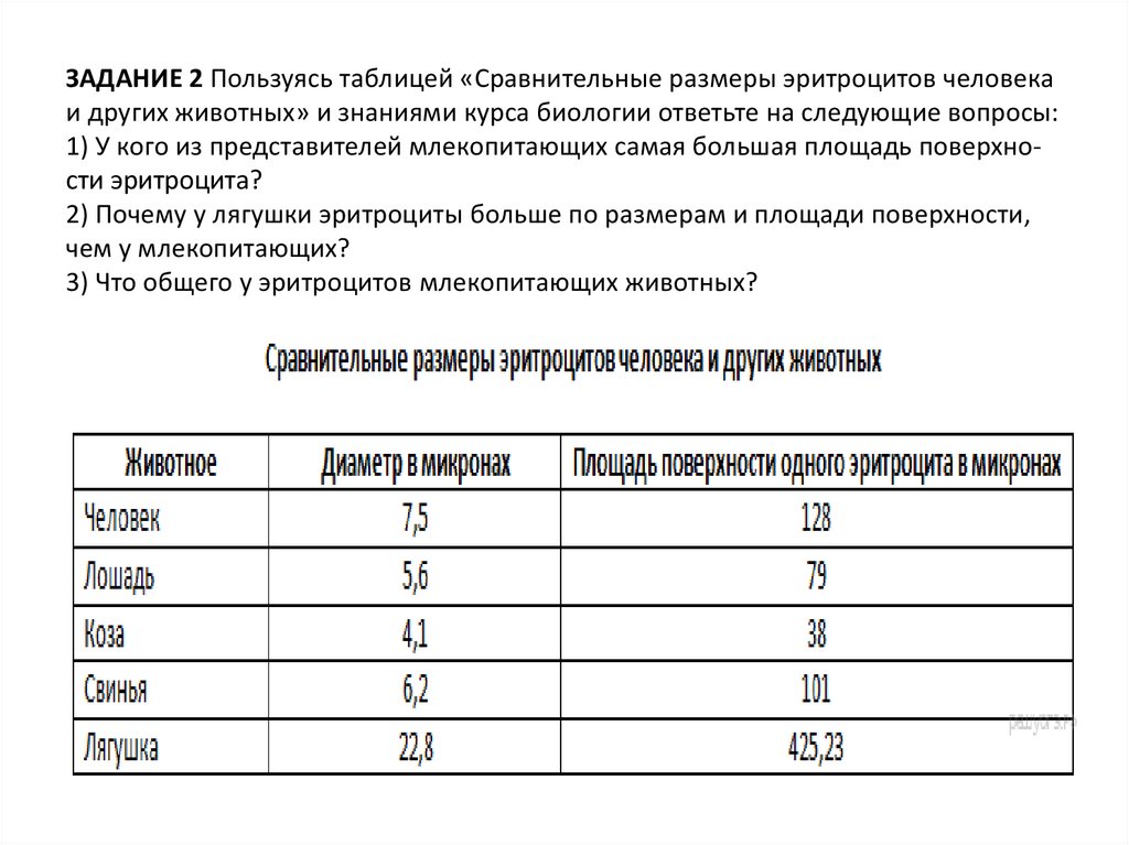 Используя знания курса