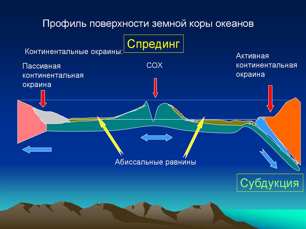 Схема строения рельефа дна мирового океана глубоководный желоб