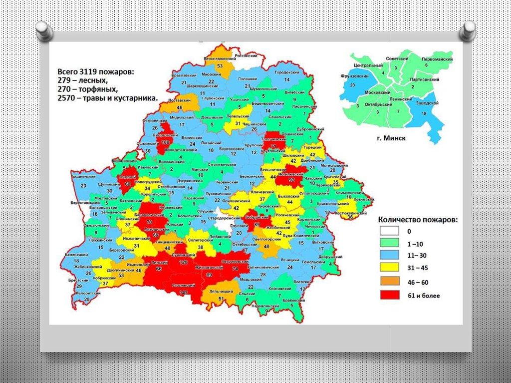 Карта ограничения посещения лесов беларуси