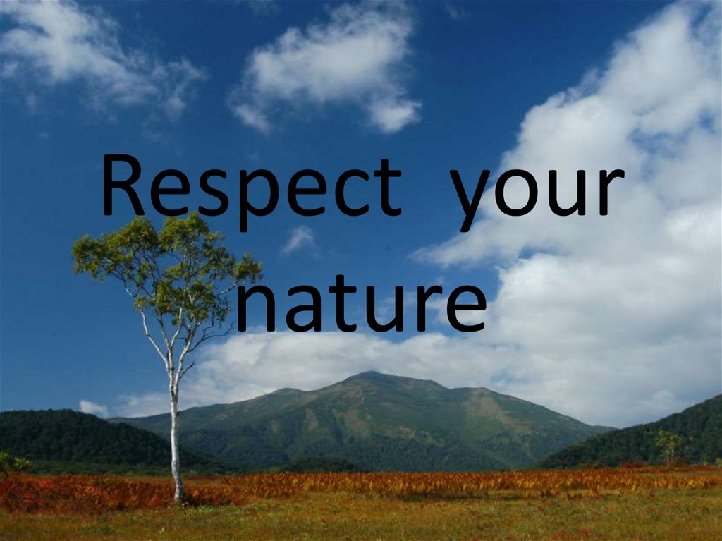 Respect your nature