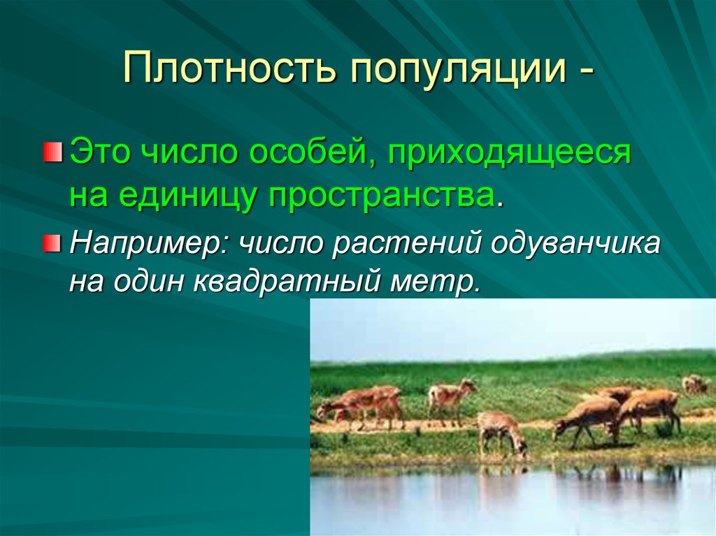 Функционирование популяций в природе презентация 9 класс