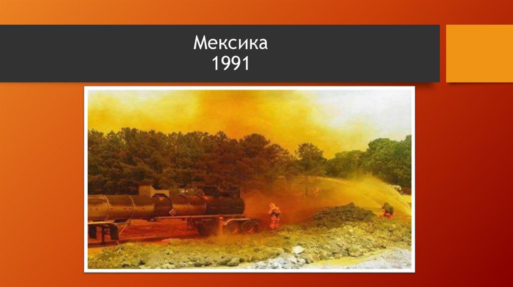 Мексика 1991