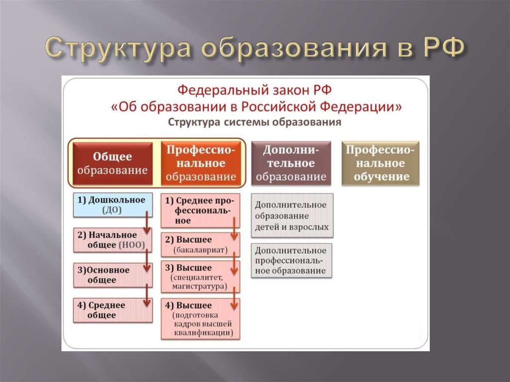 Структура образования в РФ