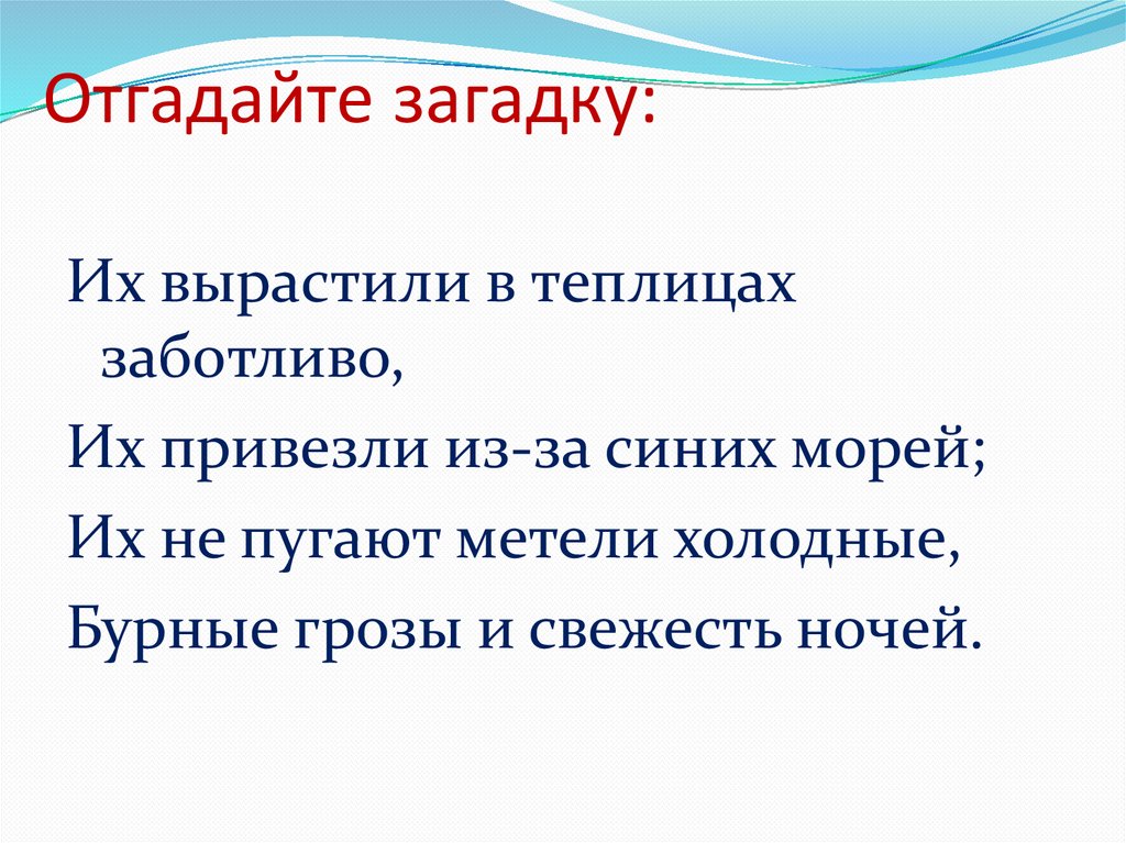 Отгадайте загадку: