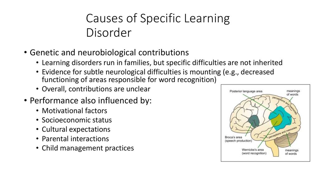 Causes of Specific Learning Disorder