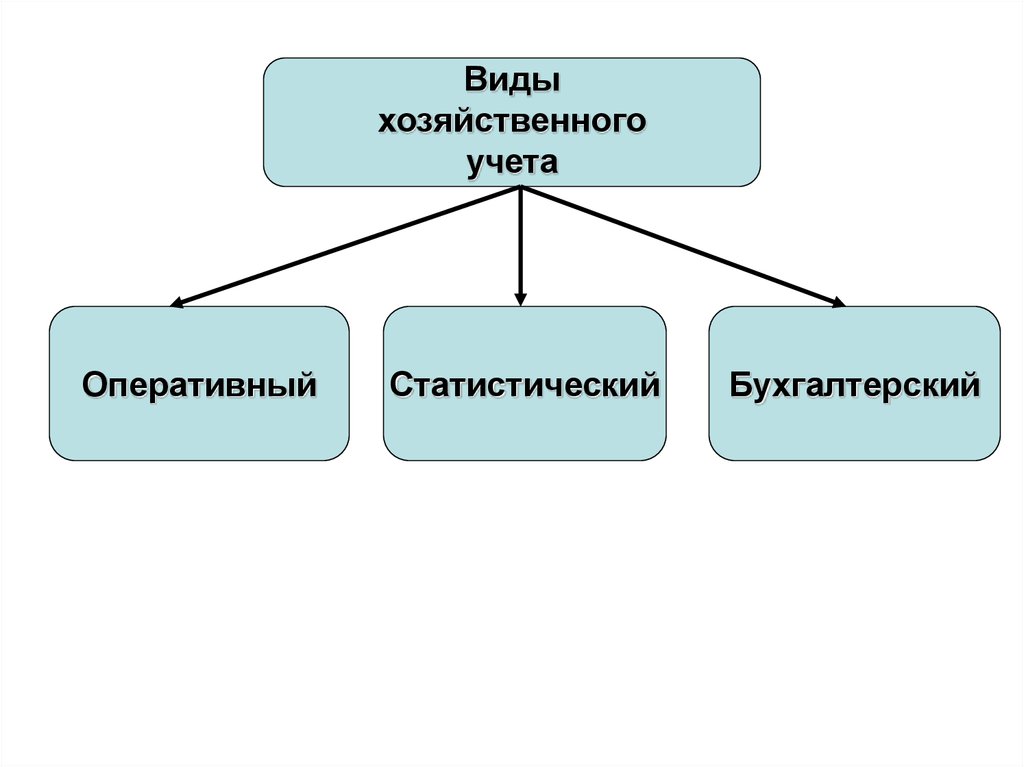 Виды хозяйственного учета кратко