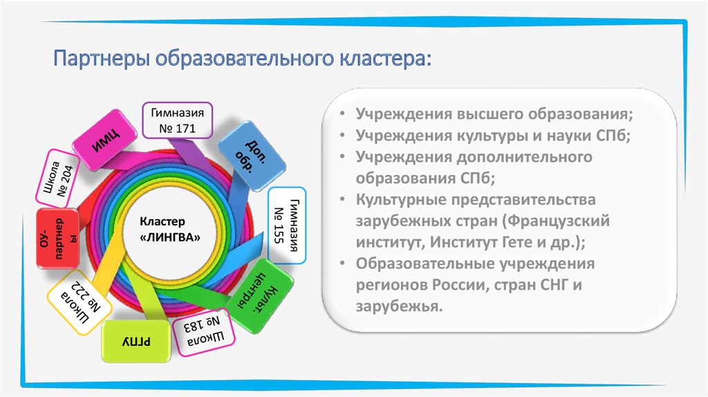 Образовательный кластер. Кластер образовательные области. Кластер наука и образование. Дополнительное образование кластер. Право на образование кластер.