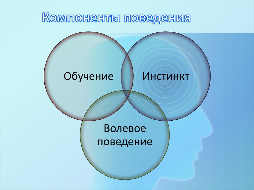 Компоненты поведения