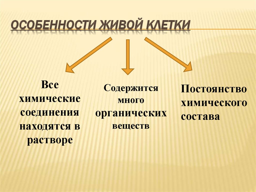 Особенности живой клетки