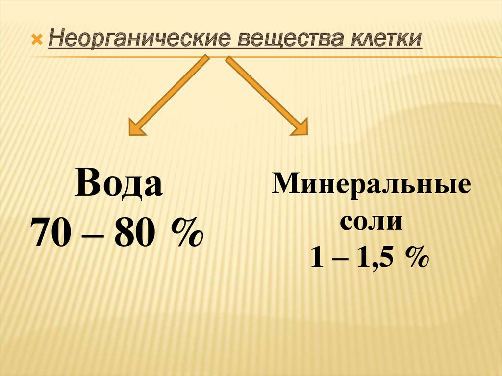 Вещества клетки являющиеся основным строительным материалом