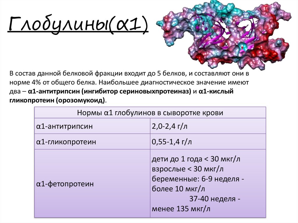 Альбумин повышен у мужчин. Структура белка альбумин глобулин. Альфа 1 Альфа 2 бета и гамма глобулины. Фракции глобулинов. Глобулины характеристика биохимия.