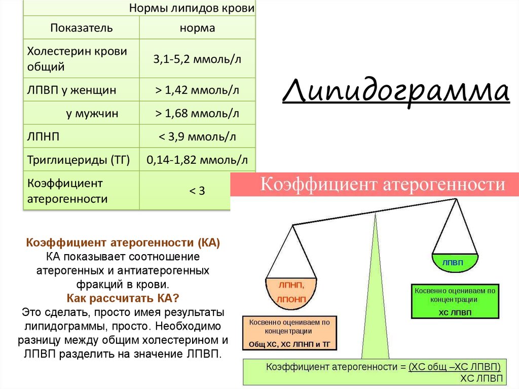 Показатели лабораторной работы