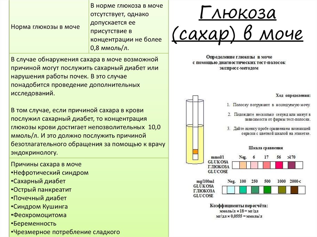 Нормами называются тест. Кетоновые тела и Глюкоза в моче. Глюкоза в моче норма. Сахар в моче показатели. Глюкоза в моче норма у женщин.