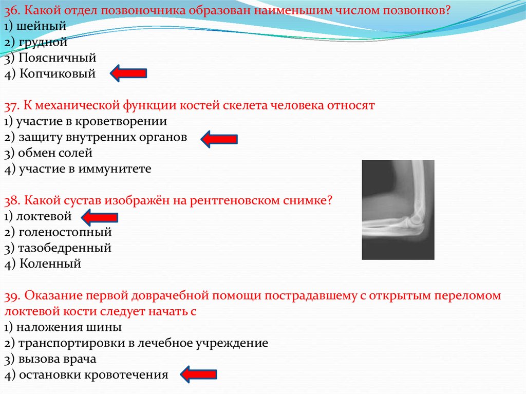 Мало образовано. К механической функции костей скелета человека относятся. Какой отдел позвоночника образован наименьшим числом. К механической функции костей человека относят. Какой отдел позвоночника образован наименьшим числом позвоночника.