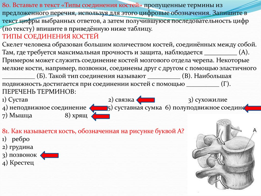 Вставьте в текст пропущенные термины. Вставьте в текст типы соединения костей пропущенные термины. Типы соединения костей пропущенные термины. Вставьте в текст типы соединения костей. Текст типы соединения костей.