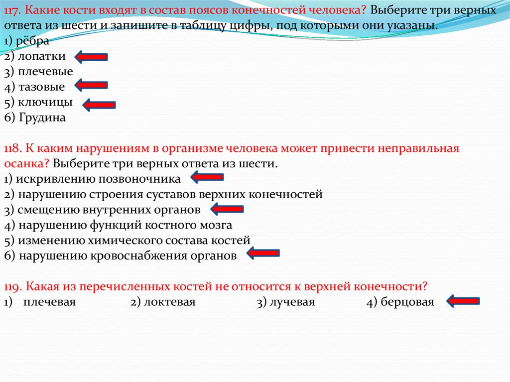 Выберите три ответа из шести. 1235700 Запиши три верных ответа. Выберите три верных ответа какие кости относятся к костям. Выберите три верных ответа из шести. Трубчатыми костями являются. ОГЭ биология к каким нарушениям может привести неправильная осанка.