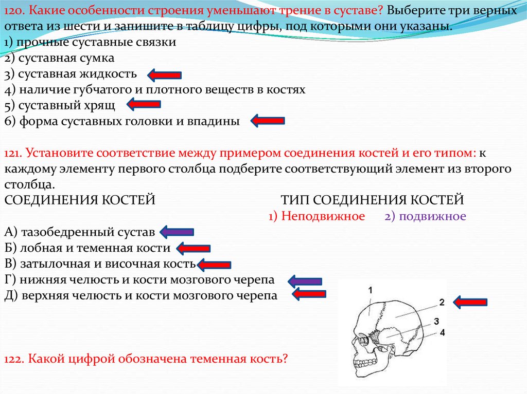 Выберите три. Какие особенности строения уменьшают трение в суставе. Какие особенности стро4ния уме5ьшают треник в суставе. Какие особенности строения уменьшают трение в суставе выберите. Особенности сустава уменьшающие трение.