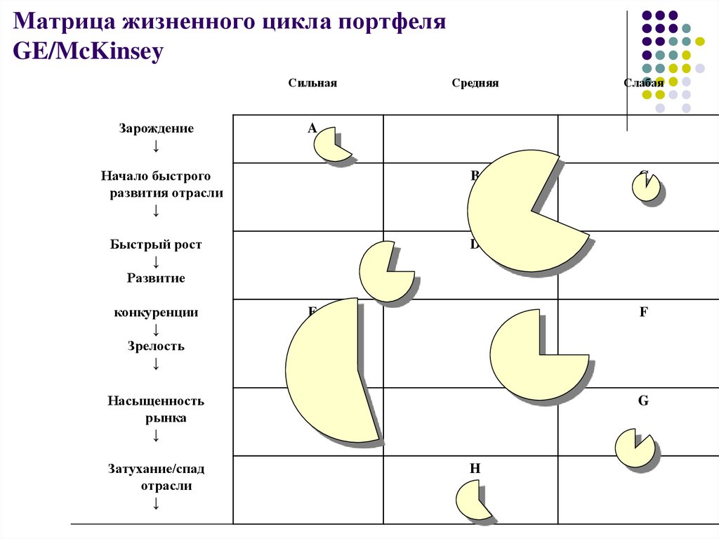 Матрица жизненного цикла товаров