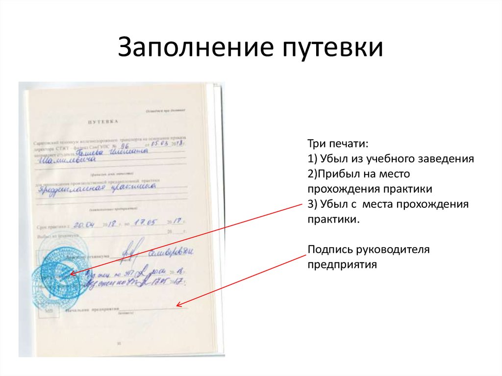 Место прохождения. Путевка для прохождения производственной практики. Печать о прохождении производственной практики. Направление на практику заполненное.