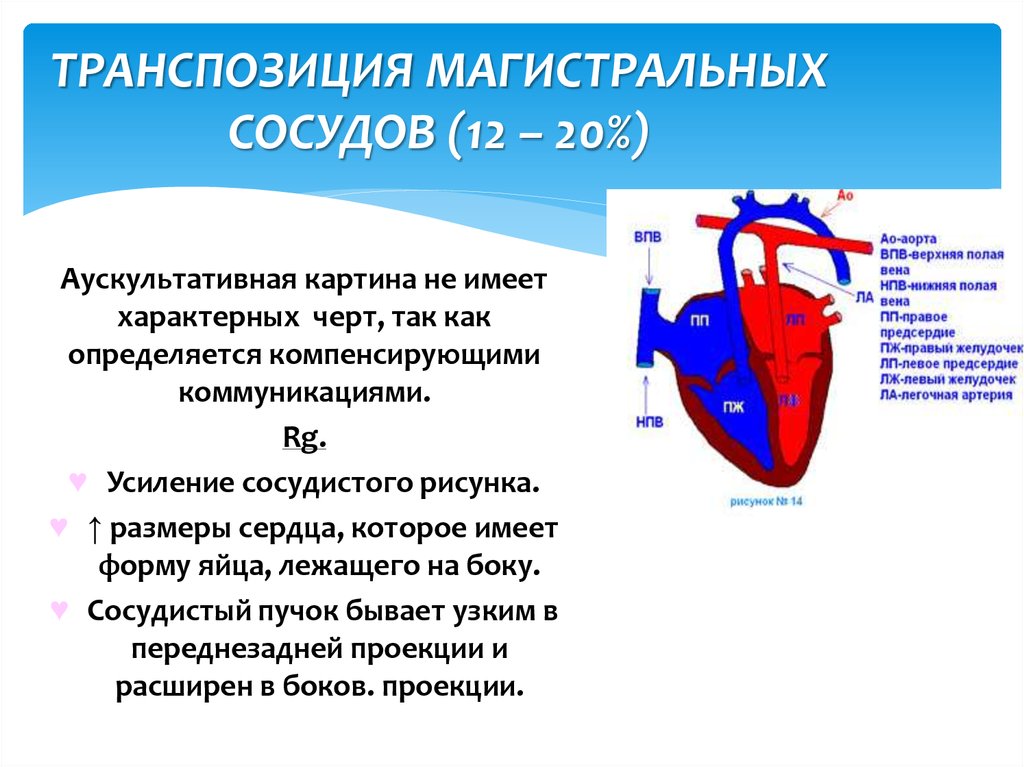 Аускультативная картина пороки сердца