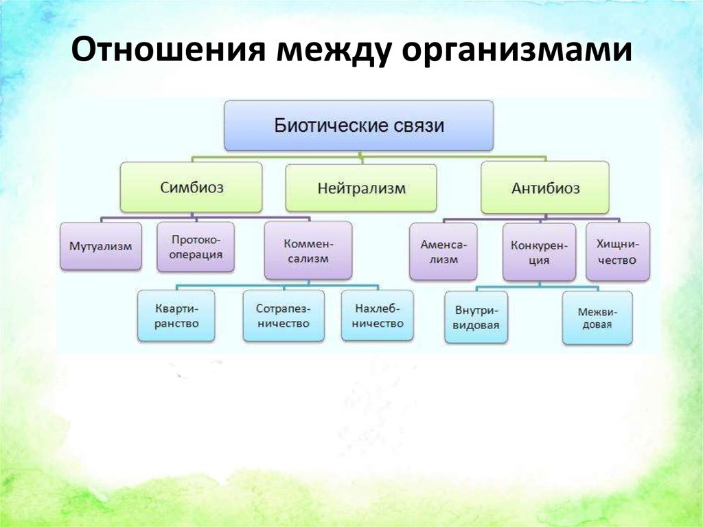 Межвидовые отношения биология презентация