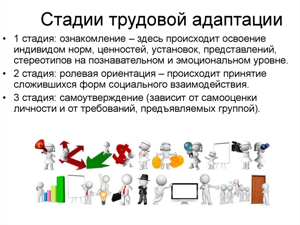 Практическое ознакомление. Стадии процесса трудовой адаптации. Этапы трудовой адаптации персонала. Стадии трудовой адаптации работника. Стадии и этапы трудовой адаптации.