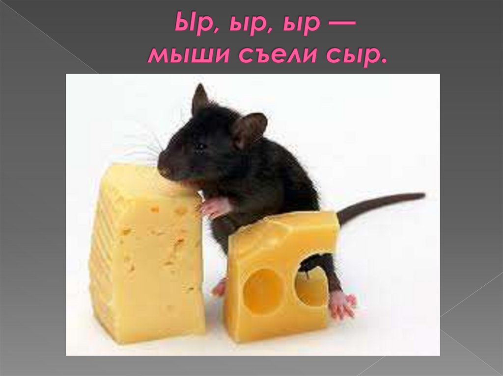 Ыр, ыр, ыр — мыши съели сыр.