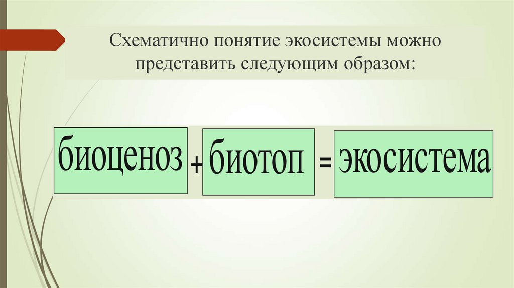 Термин экосистема