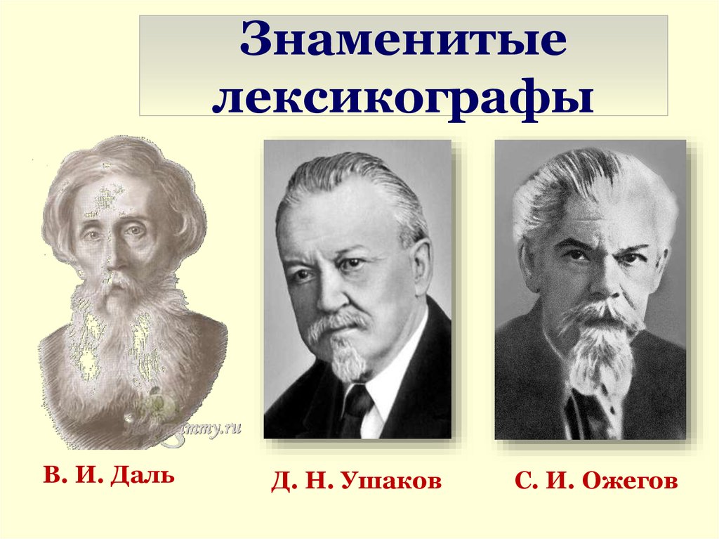 Лексикограф. Знаменитые лексикографы. Известные лексикографы русские. Даль Ожегов Ушаков. Учёные-лексикографы.