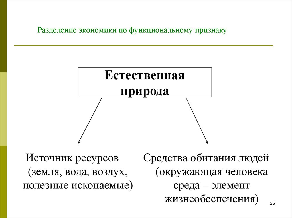 Деление экономика