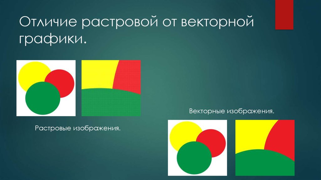 Чем отличается векторная графика от пиксельной растровой