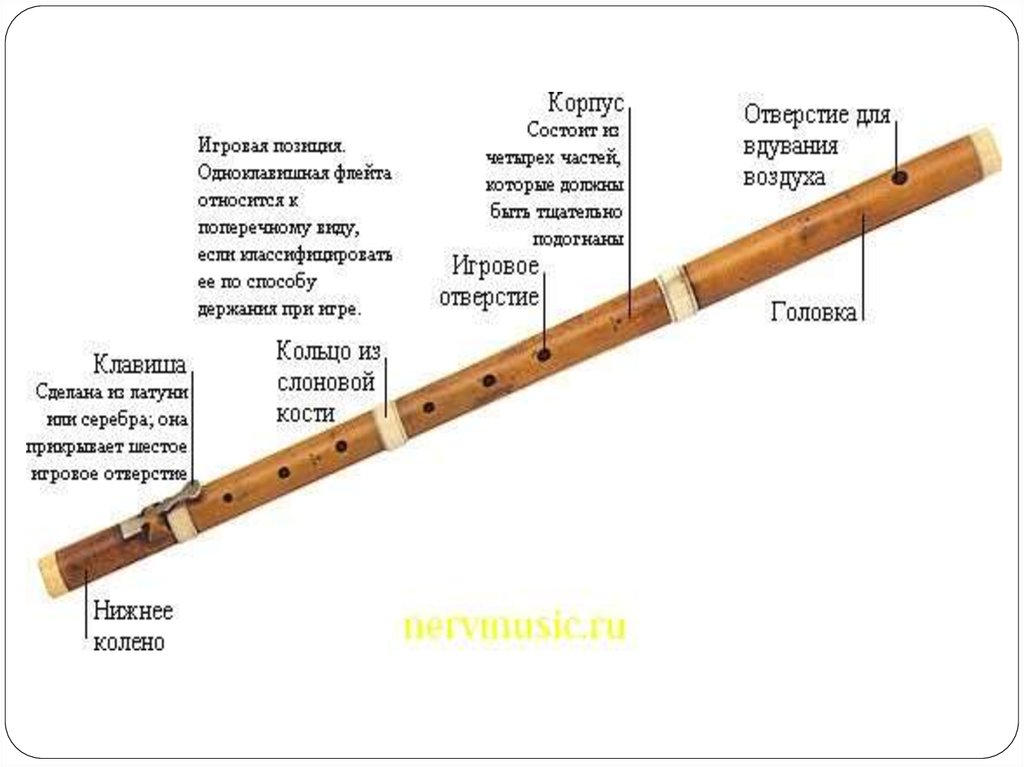Флейта минус. Строение поперечной флейты схема. Флейта деревянный духовой музыкальный инструмент. Флейта строение инструмента. Строение блокфлейты схема.