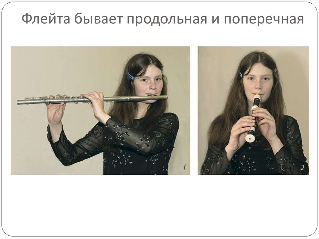Давай флейту. Продольная флейта. Продольная флейта и поперечная флейта. Поперечная флейта. Виды флейт.