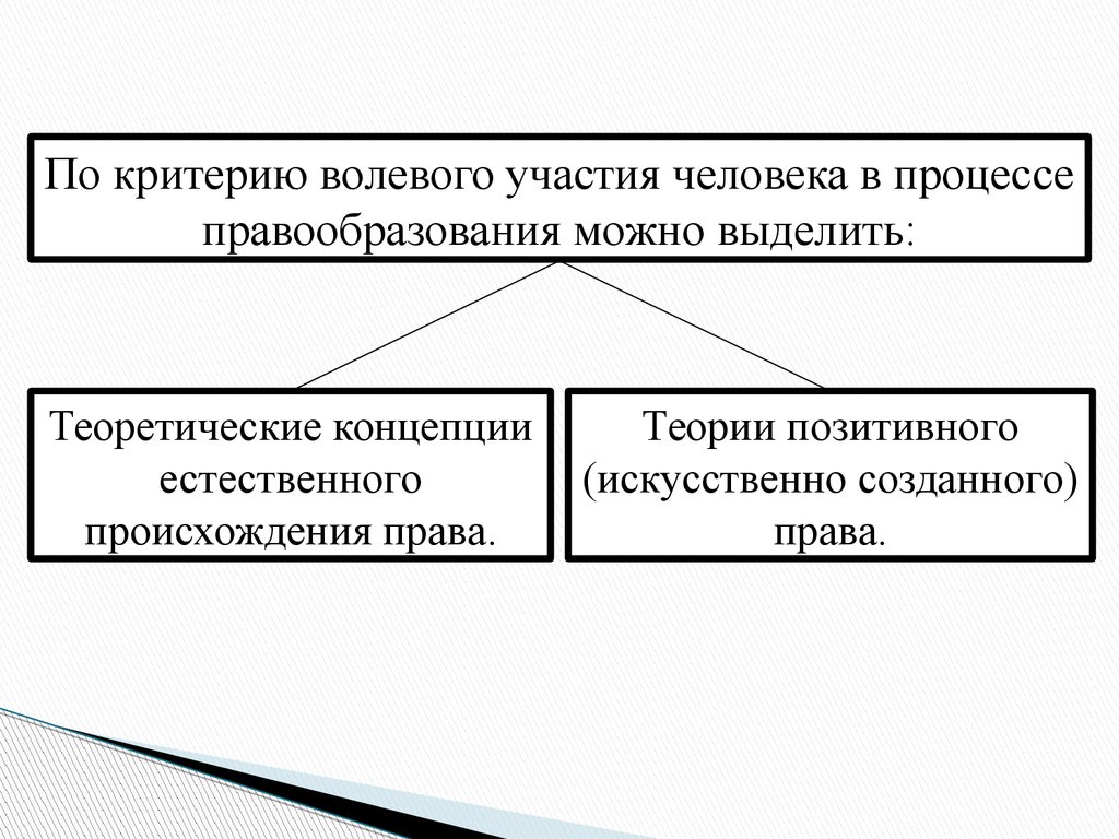 Концепция естественного права. Процесс правообразования. В теории права выделяют. Волевой критерий.