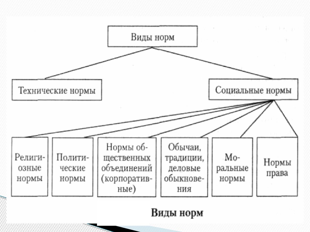 Доклад: Основные виды и функции социальных норм