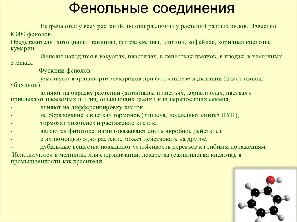 Получение трансгенных растений презентация