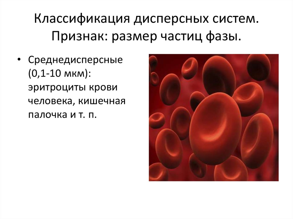 На рисунке изображены эритроциты. Среднедисперсные системы. Кровь дисперсная система. Кровь как сложная дисперсная система. Кровь какая дисперсная система.