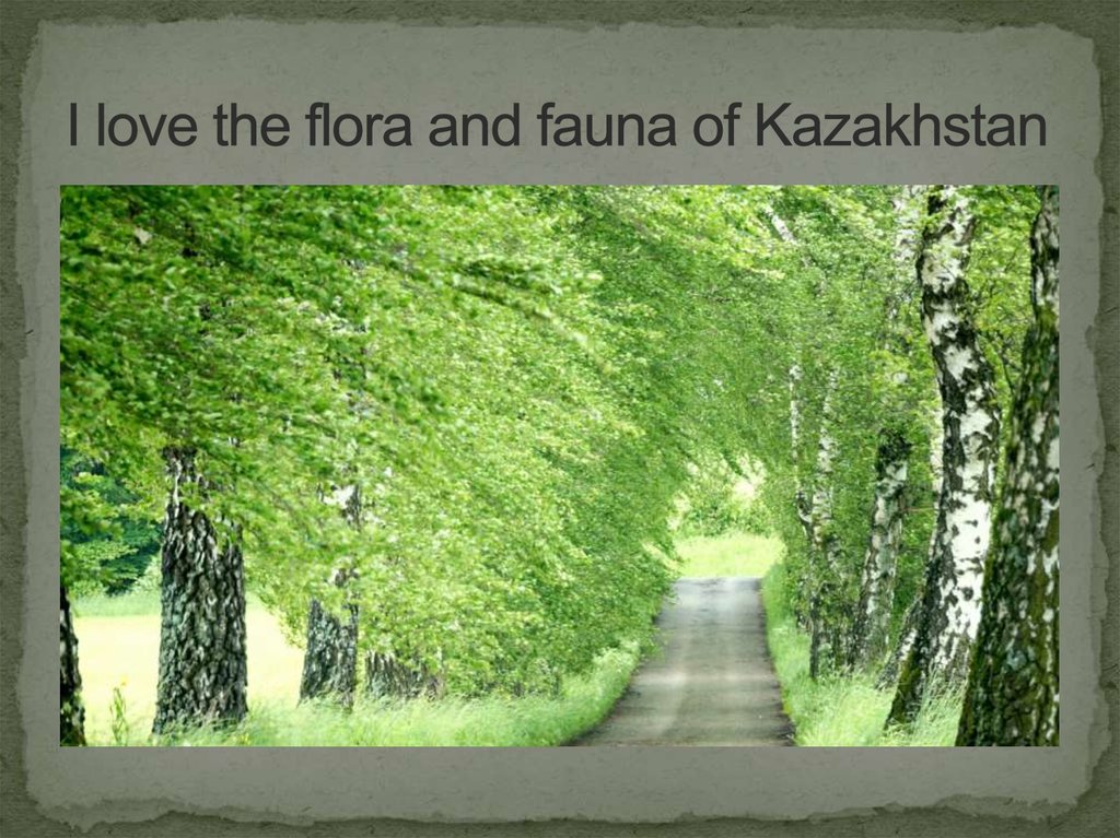 I love the flora and fauna of Kazakhstan