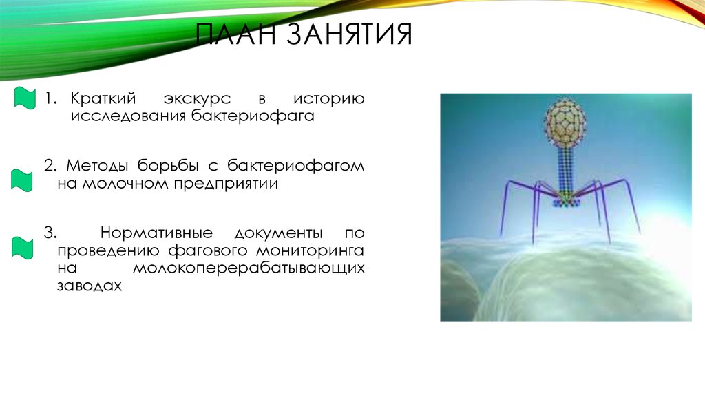 Бактериофаг питание. Роль бактериофагов в природе. Распространение бактериофагов в природе. Актуальность изучения бактериофагов. История изучения бактериофагов.