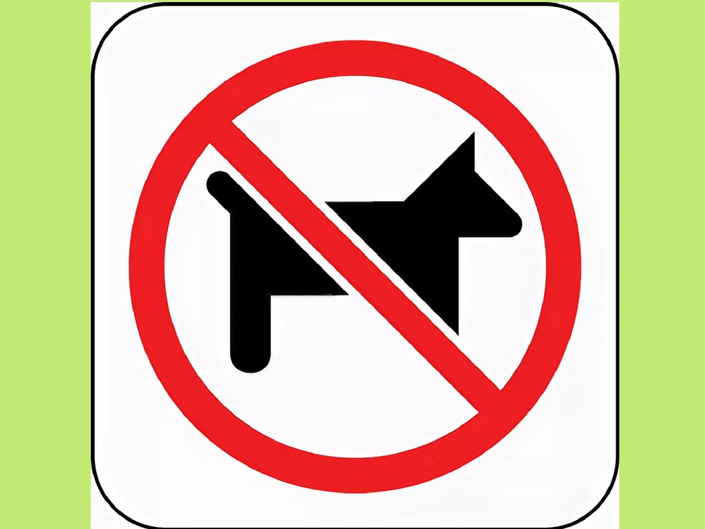 Allow images. Знак запрещающий котов. Дорожные знаки с животными. Знак с собаками запрещено. Allow картинка.