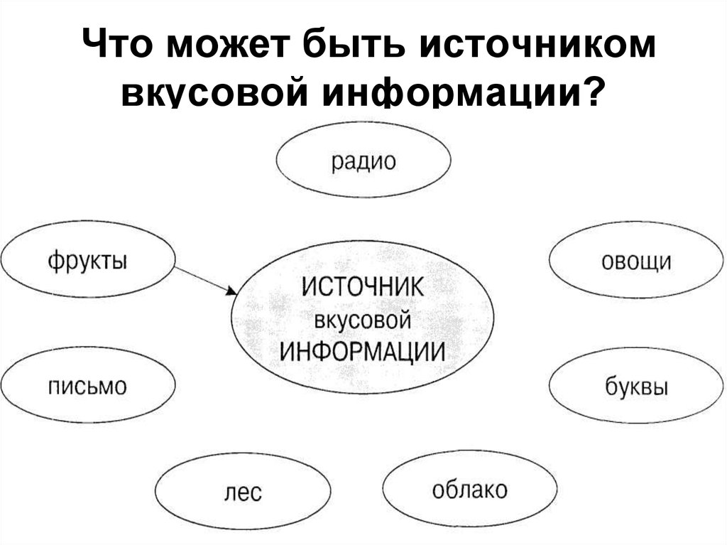 Есть источники. Источник вкусовой информации. Что может быть источником вкусовой информации. Вкусовая информация примеры. Источники вкусовой информации примеры.