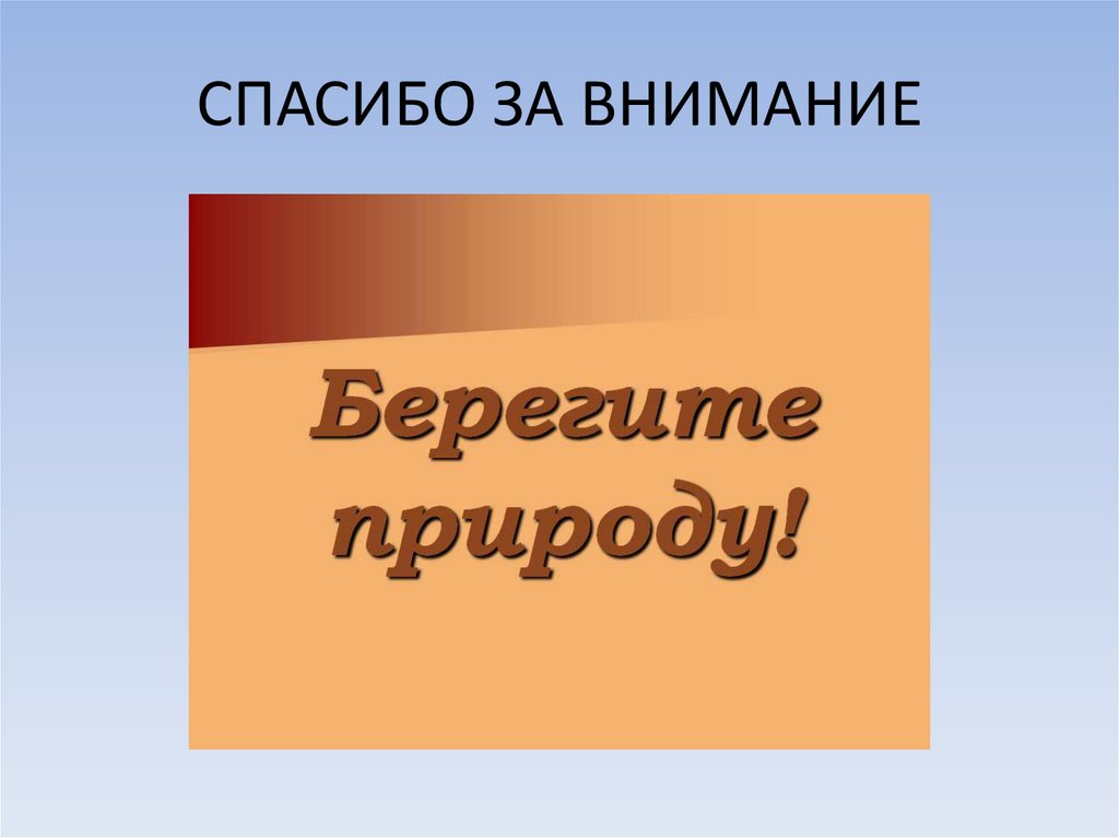 Сохраним богатство живого мира 5 класс биология презентация