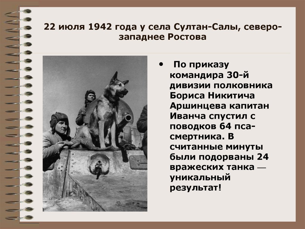 22 июля 1942 года у села Султан-Салы, северо-западнее Ростова