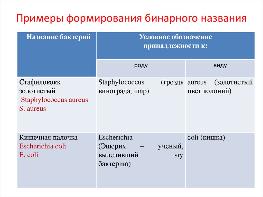 Бинарные названия. Пример бинарного названия. Бинарные названия растений примеры. Бинарное название вида. Бинарное название вида приведите примеры.