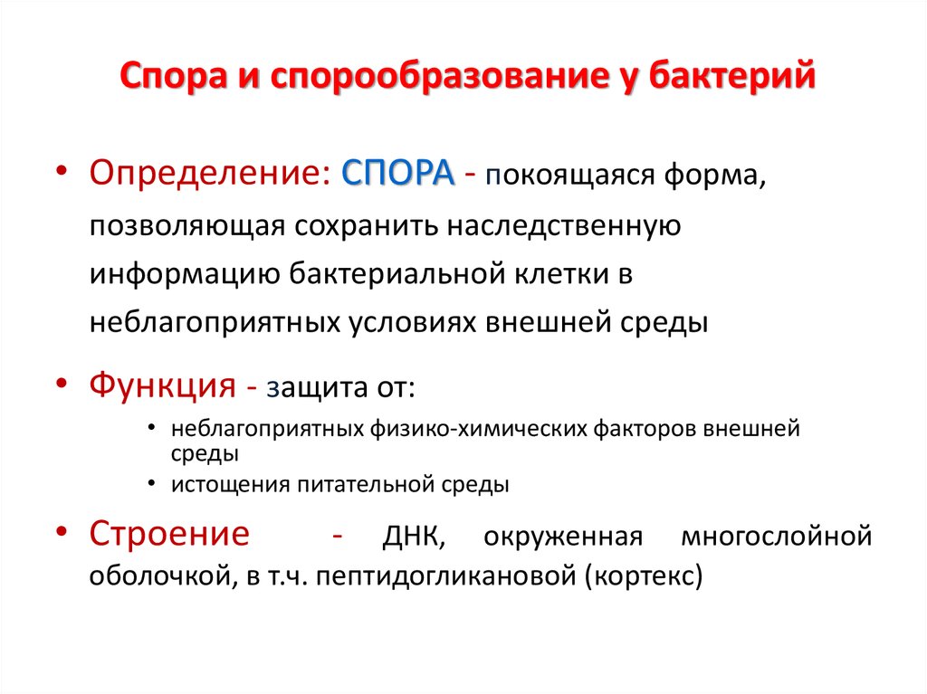 Этапы спора. Споры и спорообразование. Споры и спорообразование у микроорганизмов. Спорообразование у бактерий. Споры и спорообразование у бактерий методы выявления спор.