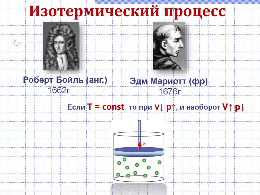 Регуляторы биомолекулярных процессов 11 класс презентация