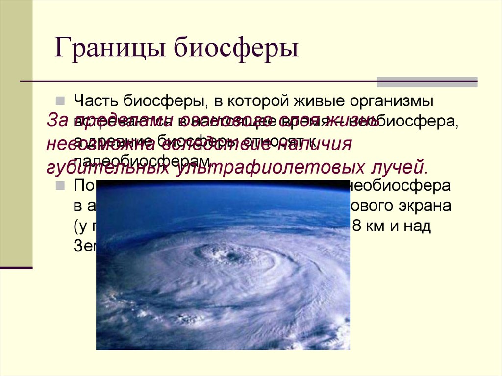 Современное состояние биосферы. НЕОБИОСФЕРА. Древнейшая Биосфера возникла в. Границы биосферы.