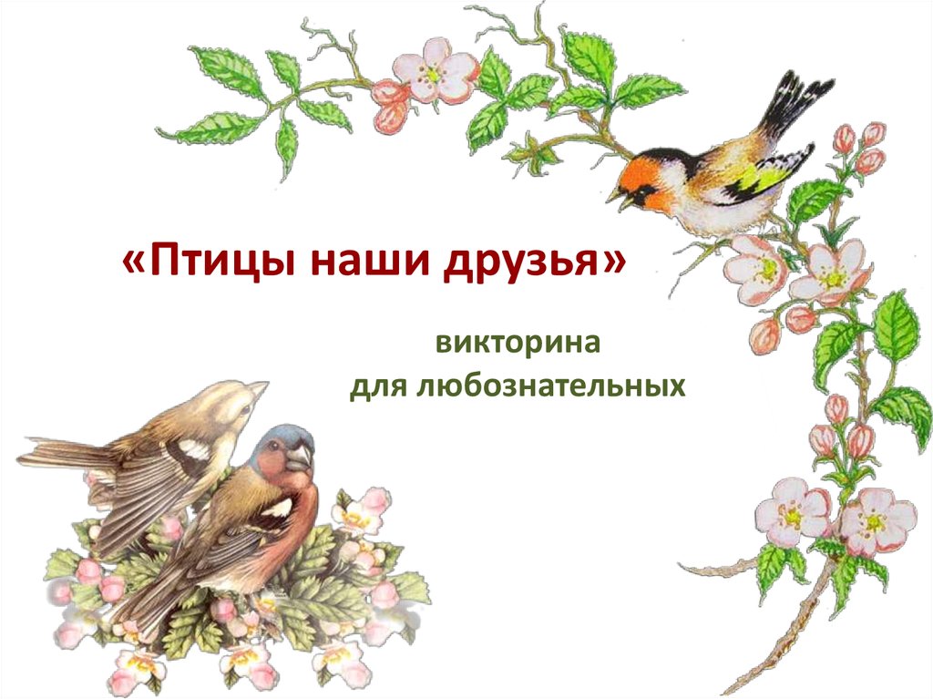 Презентация праздник птиц 1 класс школа россии