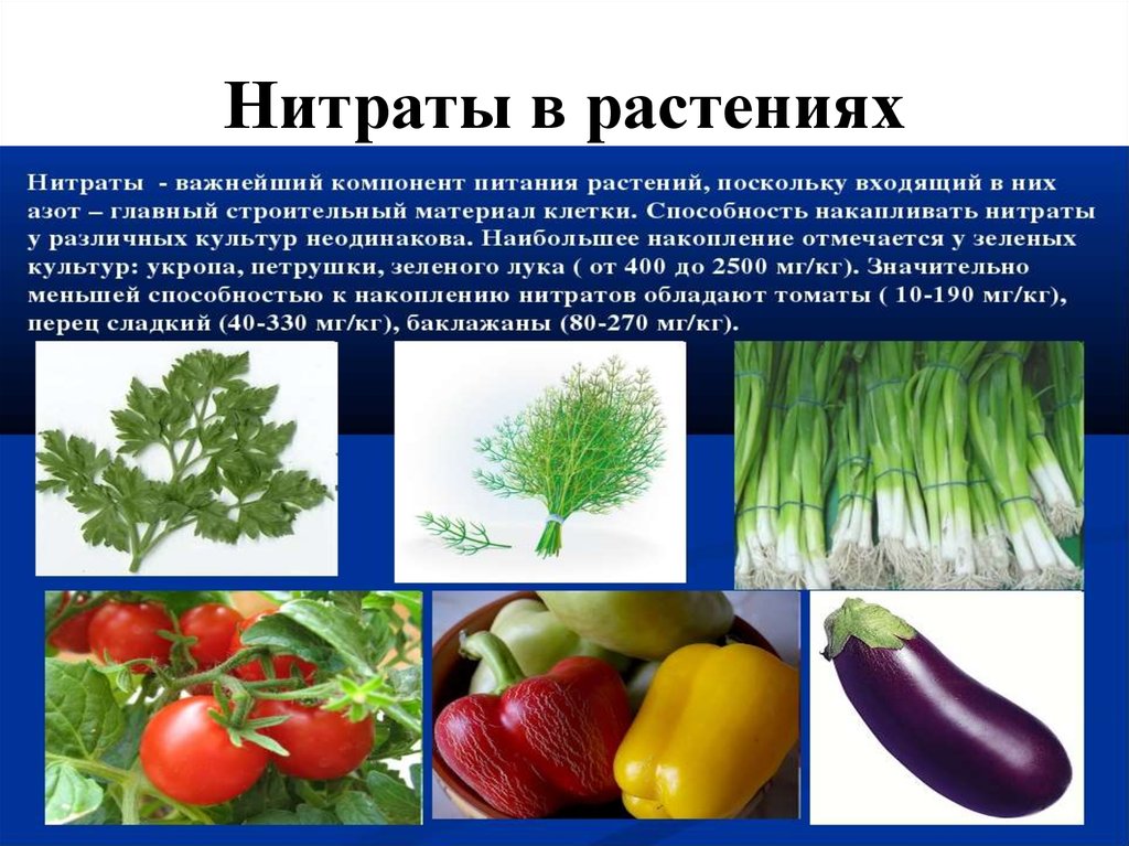 Определен растительный продукт. Нитраты нитриты нитрозамины. Влияние нитратов на растения. Нитраты в овощах. Презентация на тему нитраты.