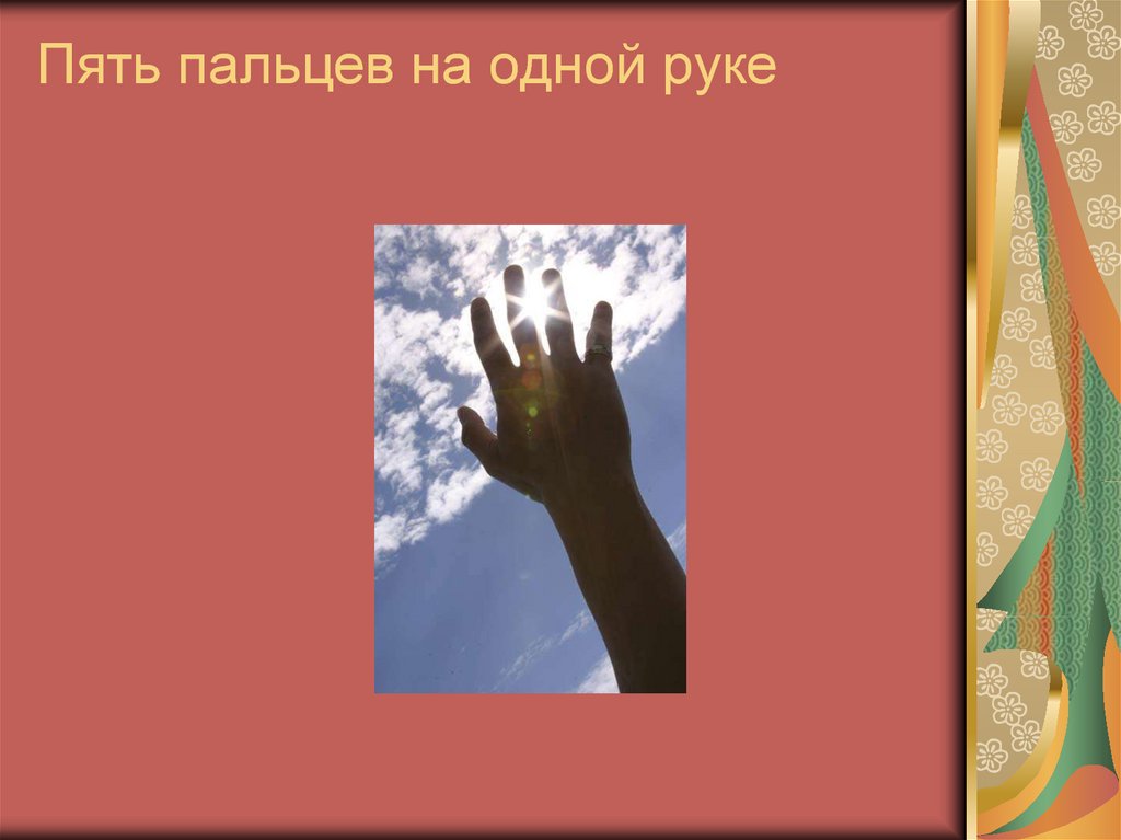 Пять пальцев на одной руке